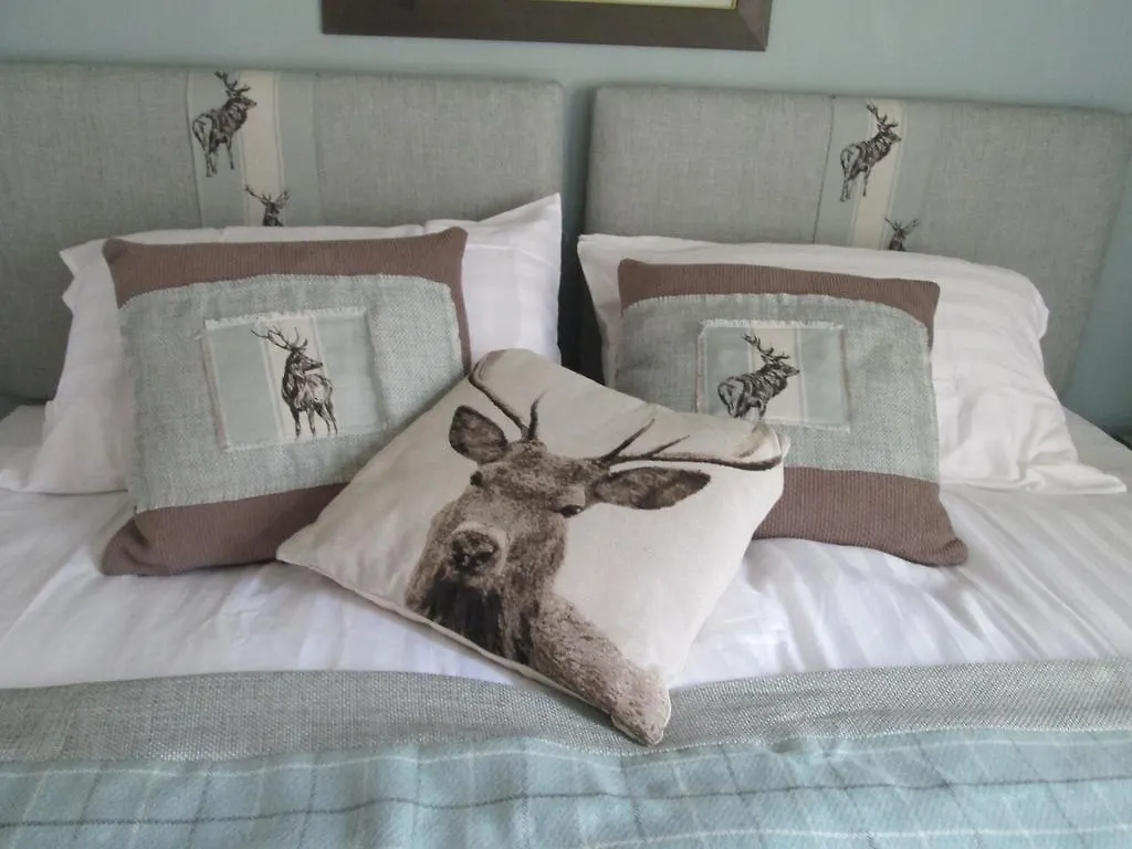 Gorse Grove Kirby Hill - B&B United Kingdom